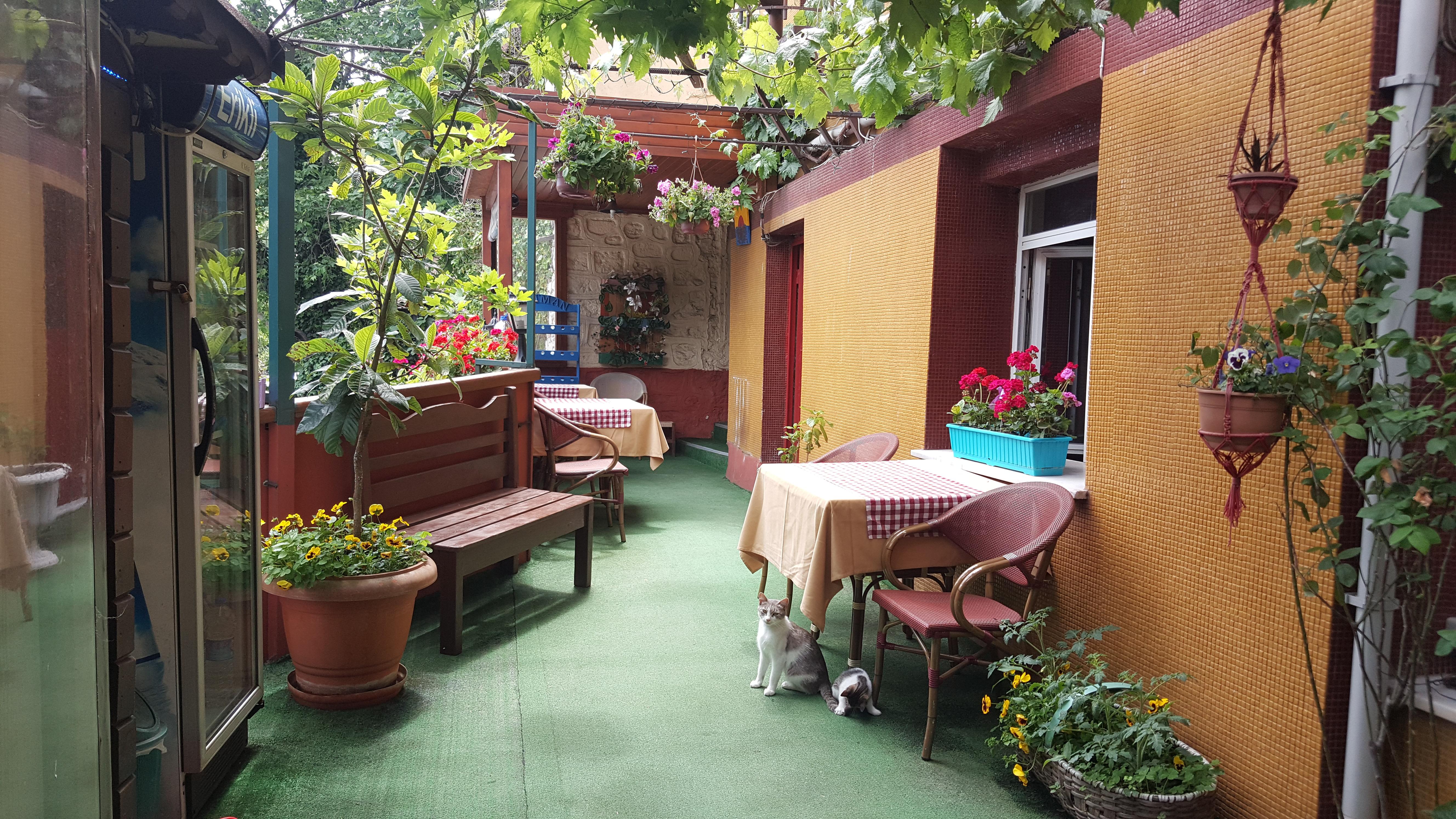 Anadolu Couette-café 3*